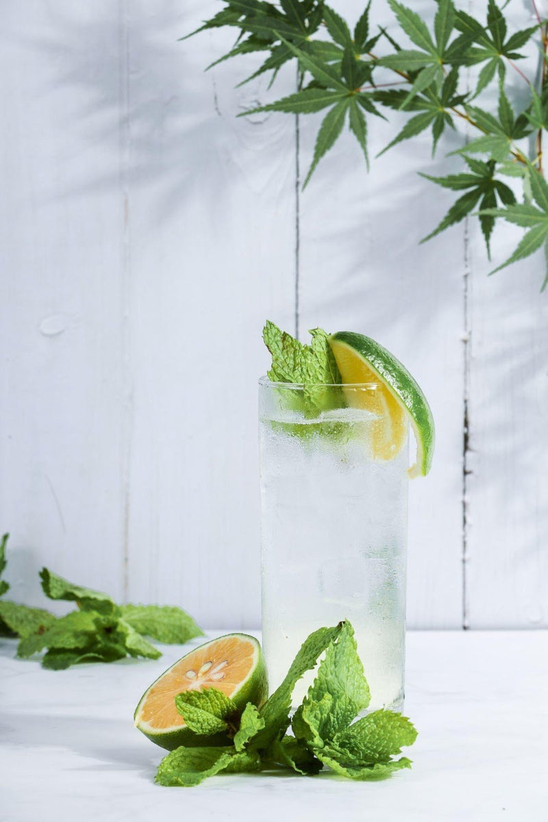 Classic Mojito Mocktail | Native Vanilla