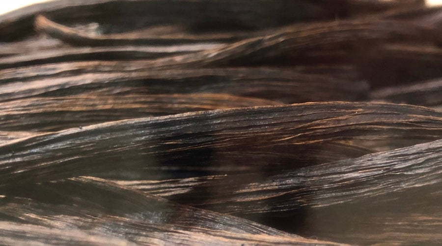 How to store vanilla beans