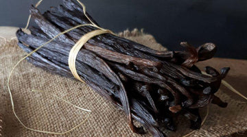 Press Release: Ethically-Sourced Vanilla Now Available Online