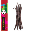 Load image into Gallery viewer, Brazil, Atlantic Rainforest - Organic Gourmet Vanilla Beans - Grade A - Native Vanilla