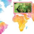 Load image into Gallery viewer, Burundi, Muyinga - Gourmet Vanilla Beans - Grade A - Native Vanilla