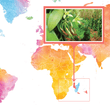 Load image into Gallery viewer, Comoros Islands, Grand Comore - Gourmet Vanilla Beans - Grade A - Native Vanilla