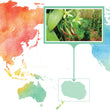 Load image into Gallery viewer, Cook Islands, Rarotonga - Gourmet Vanilla Beans - Grade A - Native Vanilla