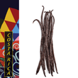 Load image into Gallery viewer, Costa Rica, Pacific Coast (Costaricensis) - Native Vanilla