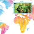 Load image into Gallery viewer, DR Congo, Virunga - Gourmet Vanilla Beans - Grade A - Native Vanilla