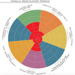 Load image into Gallery viewer, Indonesia, Java - Gourmet Vanilla Beans - Grade A - Native Vanilla