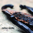 Load image into Gallery viewer, Organic Madagascar Vanilla Beans Grade A - Native Vanilla