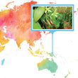 Load image into Gallery viewer, Papua New Guinea, East Sepik - Tahitian Gourmet Vanilla Beans - Grade A (Tahitensis) - Native Vanilla