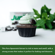 Load image into Gallery viewer, Pure Spearmint Extract - Native Vanilla