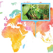 Load image into Gallery viewer, Sri Lanka, Kandy - Gourmet Vanilla Beans - Grade A - Native Vanilla