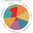 Load image into Gallery viewer, Tanzanian, Kilimanjaro - Gourmet Vanilla Beans - Grade A - Native Vanilla