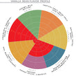 Load image into Gallery viewer, Timor-Leste, Dili - Gourmet Vanilla Beans - Grade A - Native Vanilla