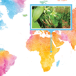 Load image into Gallery viewer, Ugandan - Gourmet Vanilla Beans - Grade A - Native Vanilla