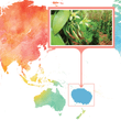 Load image into Gallery viewer, Vanuatu, Aneityum - Gourmet Vanilla Beans - Grade A - Native Vanilla