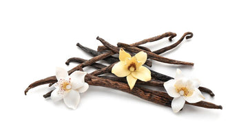 Compare Bourbon Planifolia Vanilla & Tahitian Vanilla