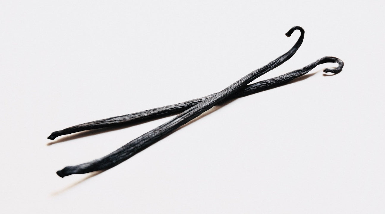 Vanilla Beans, Extract & Powder Recipes | Native Vanilla– Page 2