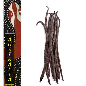 Australia, Cairns - Gourmet Vanilla Beans - Grade A - Native Vanilla