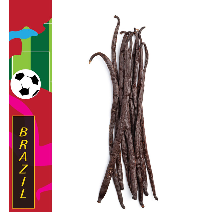 Brazil, Atlantic Rainforest - Organic Gourmet Vanilla Beans - Grade A - Native Vanilla