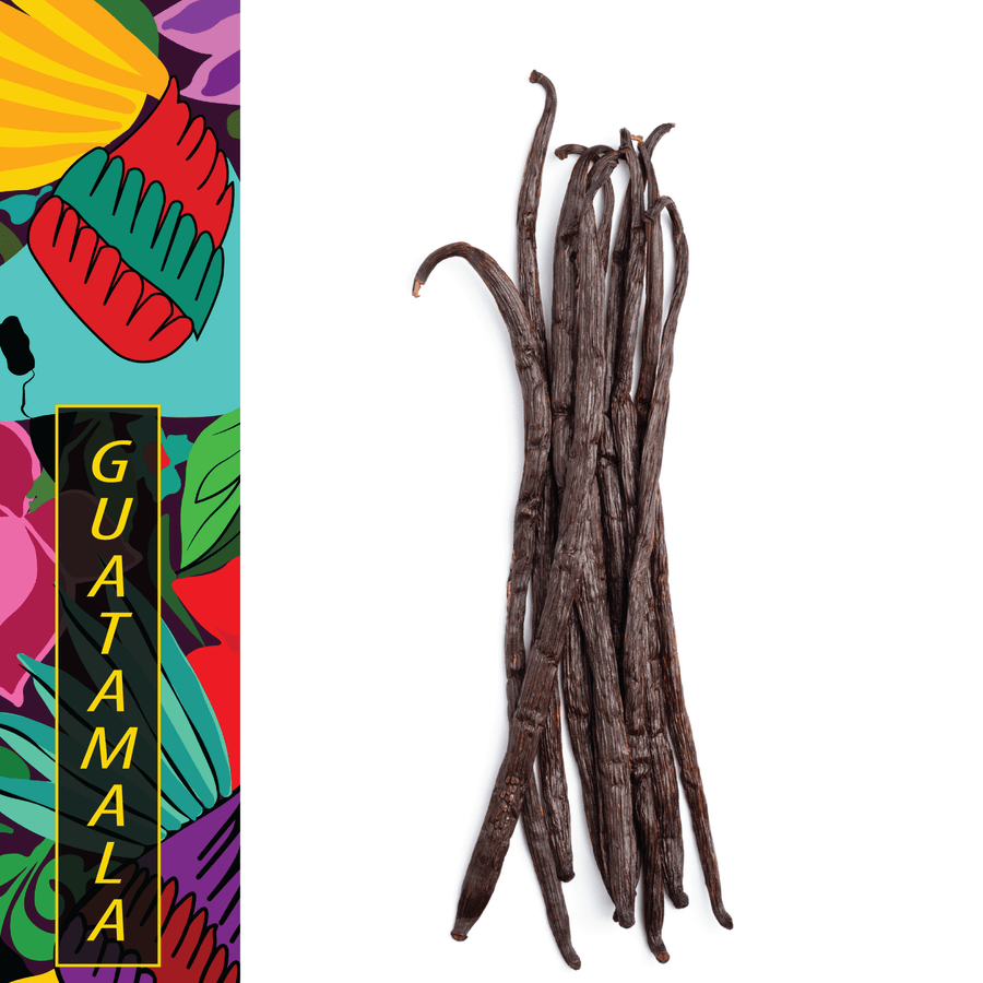 Guatemala, Alta Verapaz - Gourmet Vanilla Beans - Grade A - Native Vanilla