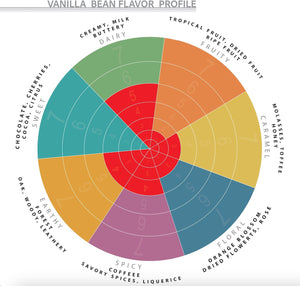 India, Bhatkal - Gourmet Vanilla Beans - Grade A - Native Vanilla