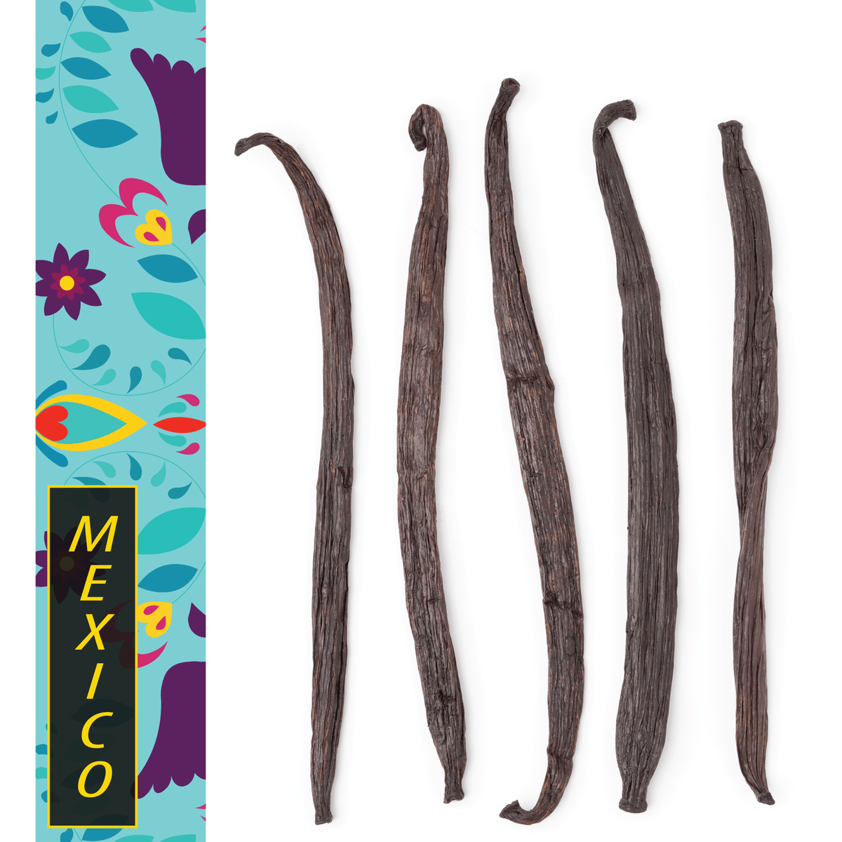 Mexico, Veracruz Planifolia Gourmet Vanilla Beans Grade A Native
