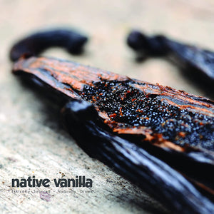 Organic Madagascar Vanilla Beans Grade A - Native Vanilla