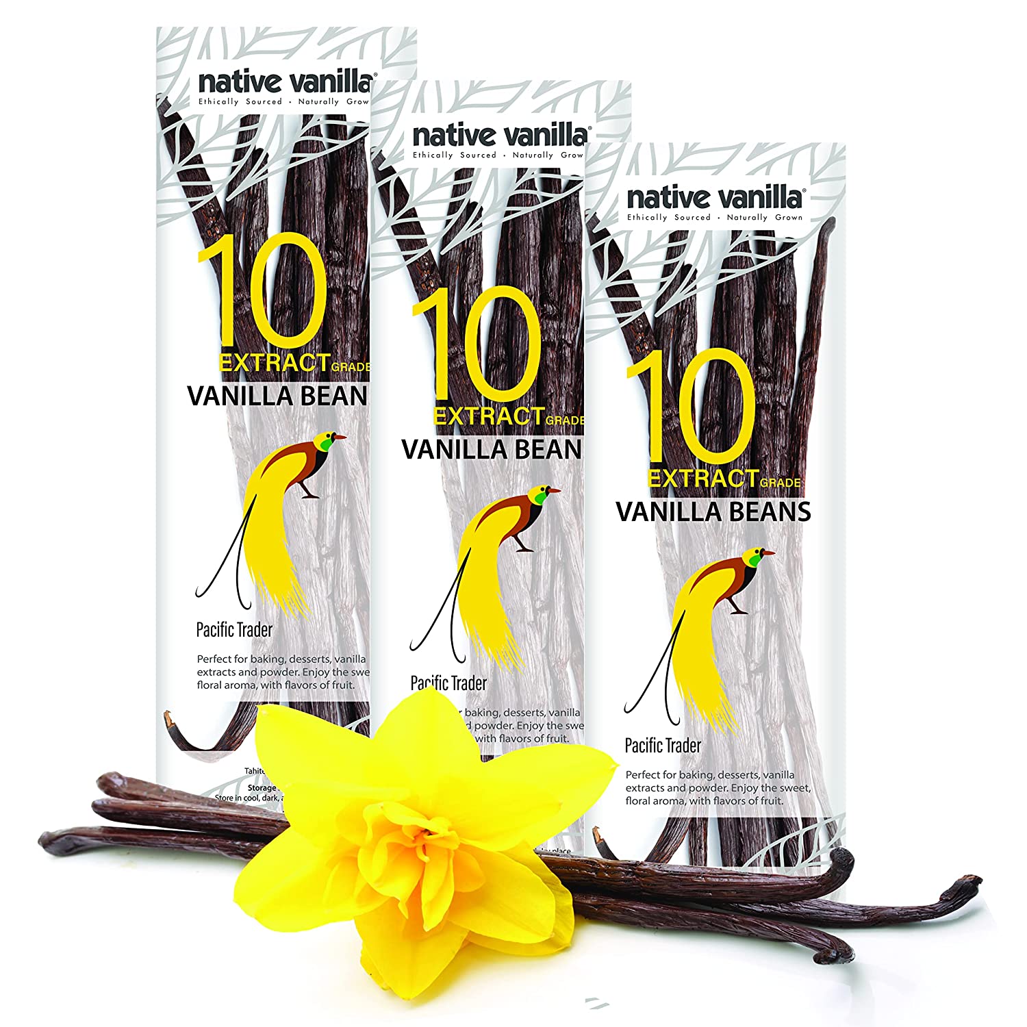 Vanilla Beans | Extract Bean | Grade B– Native Vanilla