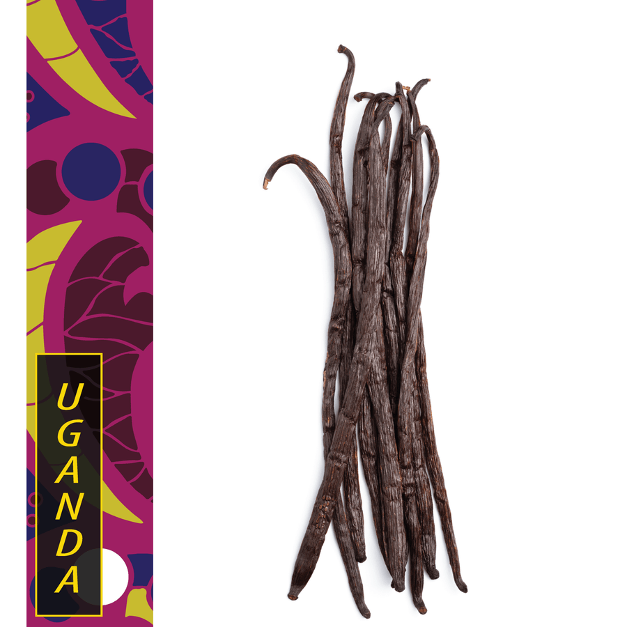 Ugandan - Gourmet Vanilla Beans - Grade A - Native Vanilla