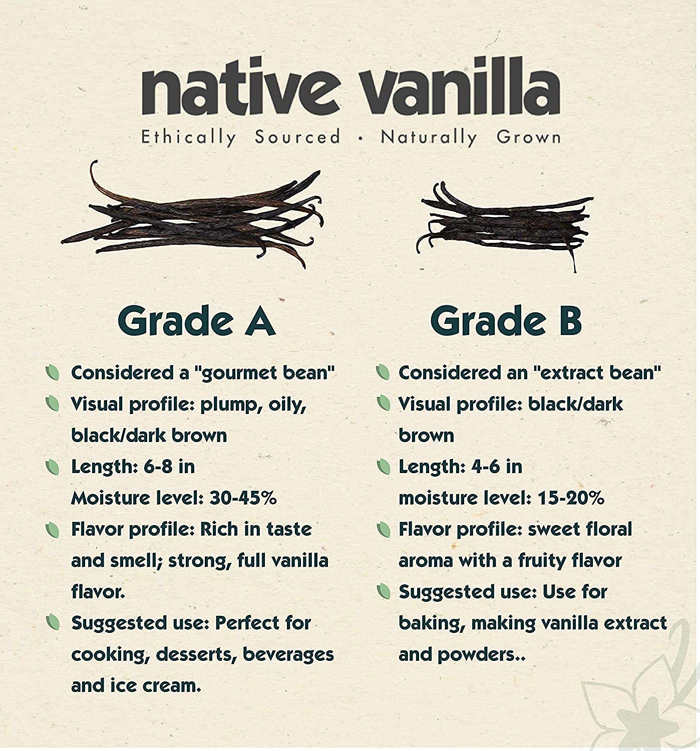Vanilla Sampler Pack – Bourbon, Tahitian, Gourmet and Extract Grade (30 Beans) - Native Vanilla